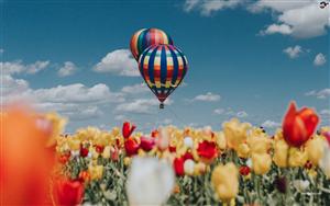 Hot Air Balloons